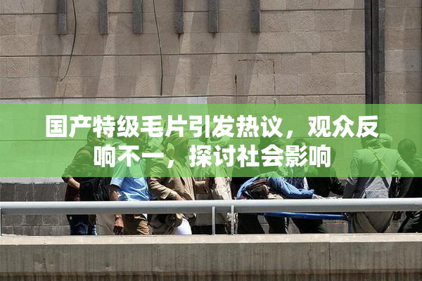 国产特级毛片引发热议，观众反响不一，探讨社会影响
