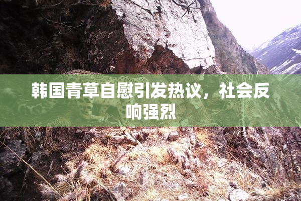 韩国青草自慰引发热议，社会反响强烈