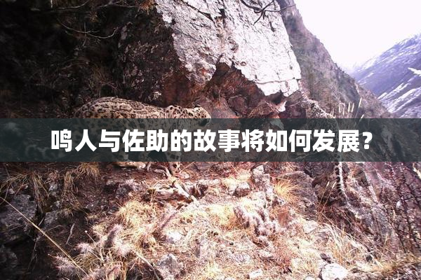鸣人与佐助的故事将如何发展？