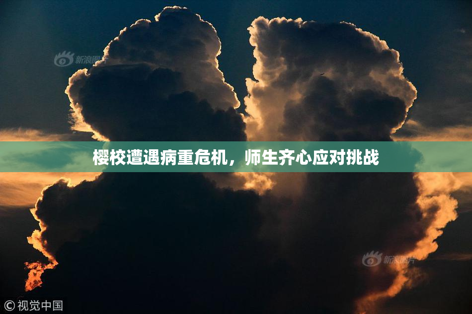 樱校遭遇病重危机，师生齐心应对挑战