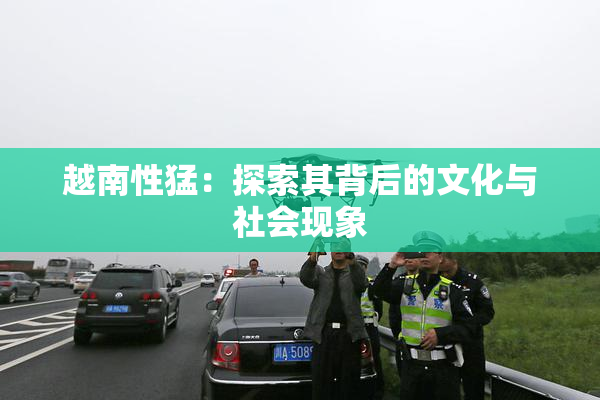 越南性猛：探索其背后的文化与社会现象
