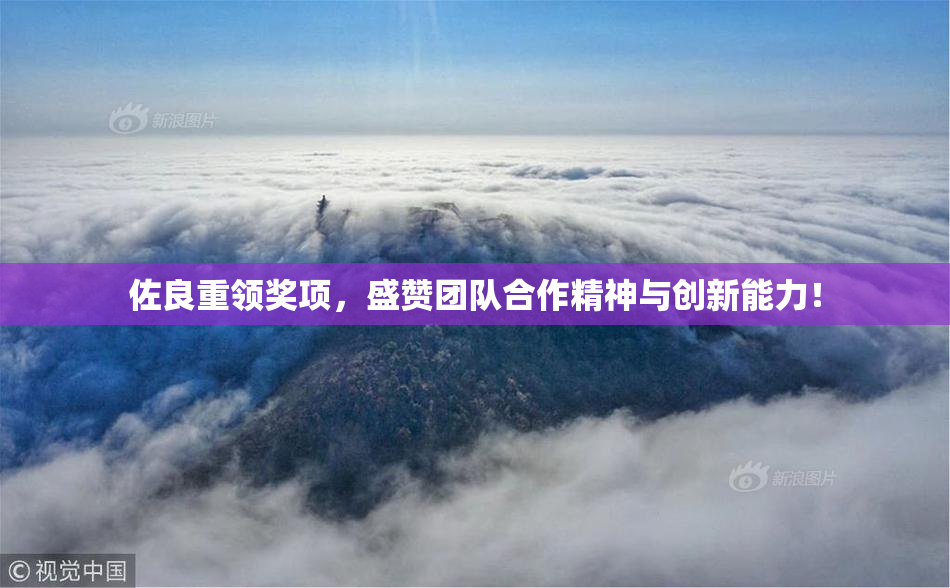 佐良重领奖项，盛赞团队合作精神与创新能力！