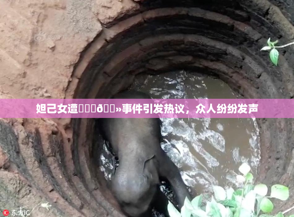 妲己女遭❌‌‌🐻事件引发热议，众人纷纷发声