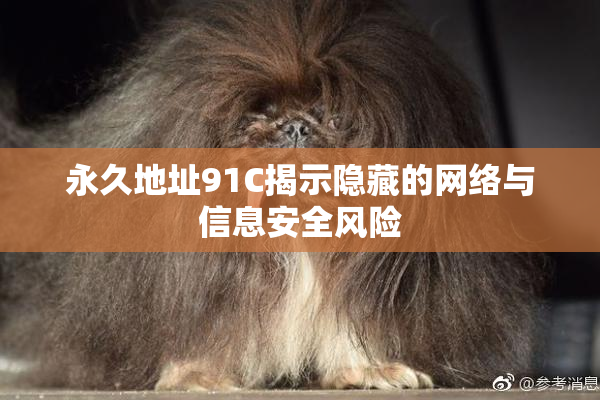 永久地址91C揭示隐藏的网络与信息安全风险