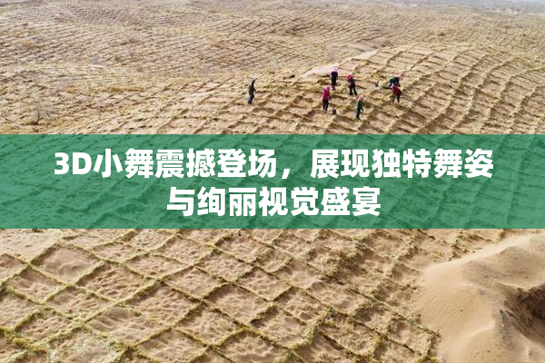 3D小舞震撼登场，展现独特舞姿与绚丽视觉盛宴