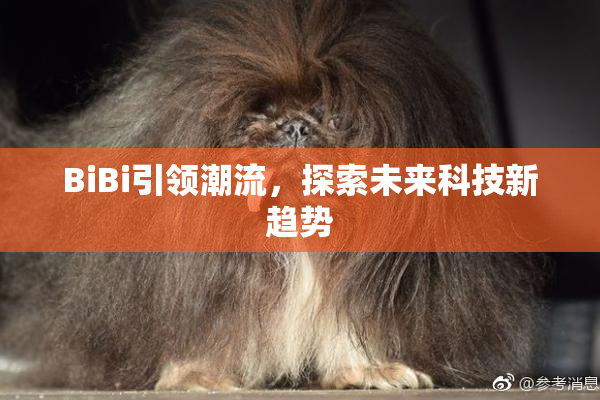 BiBi引领潮流，探索未来科技新趋势