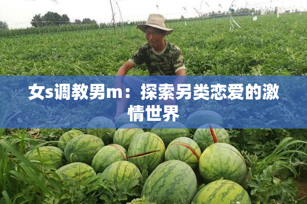 女s调教男m：探索另类恋爱的激情世界
