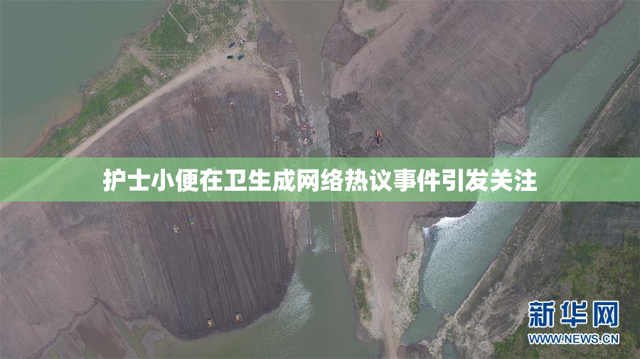护士小便在卫生成网络热议事件引发关注