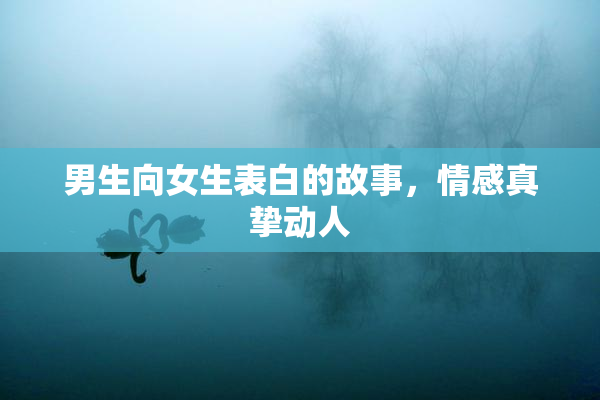 男生向女生表白的故事，情感真挚动人