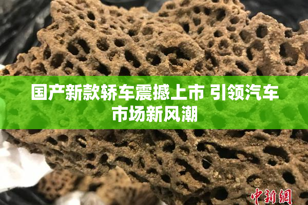 国产新款轿车震撼上市 引领汽车市场新风潮