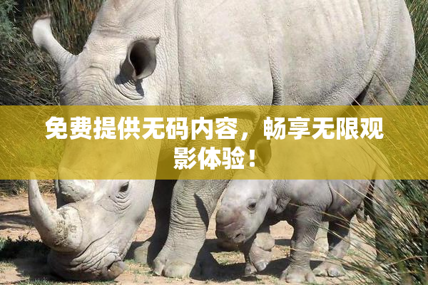 免费提供无码内容，畅享无限观影体验！
