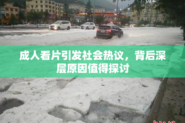 成人看片引发社会热议，背后深层原因值得探讨