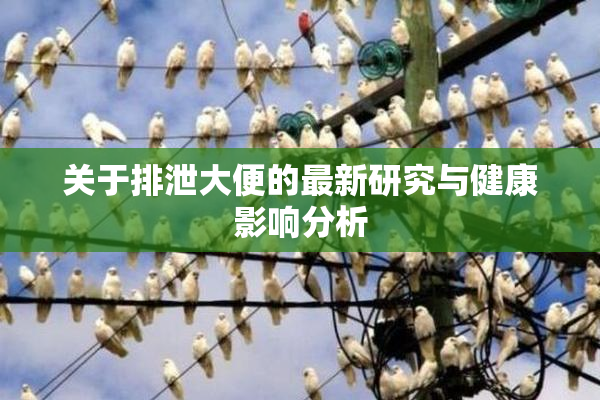 关于排泄大便的最新研究与健康影响分析
