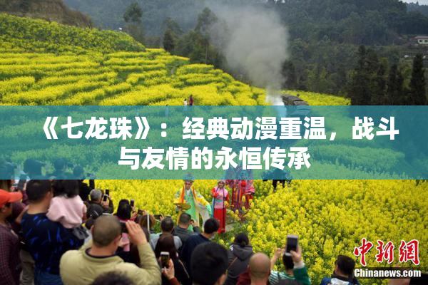 《七龙珠》：经典动漫重温，战斗与友情的永恒传承