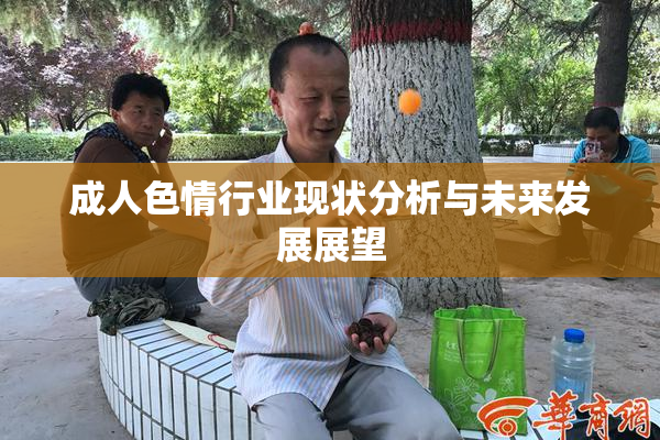 成人色情行业现状分析与未来发展展望