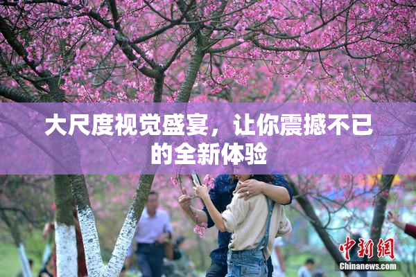 大尺度视觉盛宴，让你震撼不已的全新体验