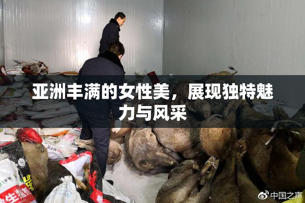 亚洲丰满的女性美，展现独特魅力与风采