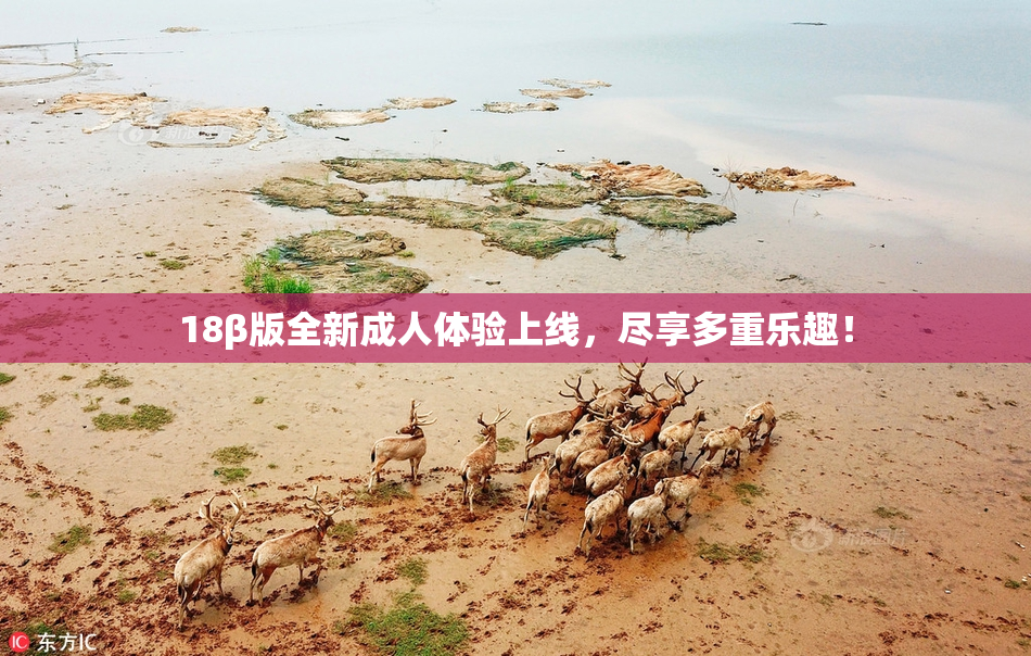 18β版全新成人体验上线，尽享多重乐趣！