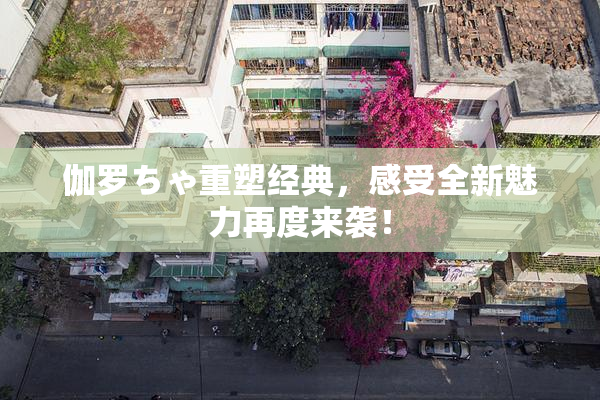 伽罗ちゃ重塑经典，感受全新魅力再度来袭！
