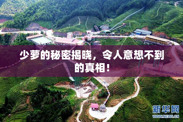 少萝的秘密揭晓，令人意想不到的真相！