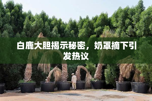 白鹿大胆揭示秘密，奶罩摘下引发热议