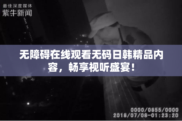 无障碍在线观看无码日韩精品内容，畅享视听盛宴！