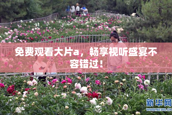 免费观看大片a，畅享视听盛宴不容错过！