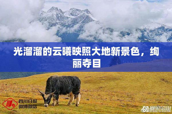 光溜溜的云曦映照大地新景色，绚丽夺目