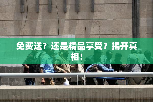 免费送？还是精品享受？揭开真相！