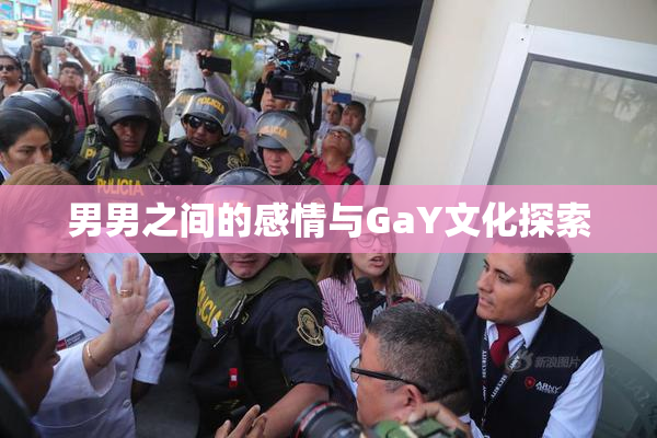 男男之间的感情与GaY文化探索