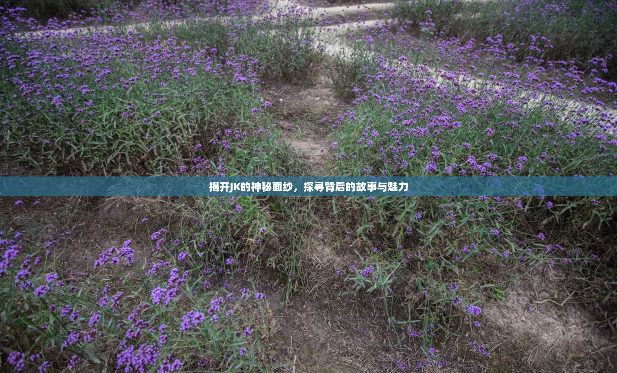揭开JK的神秘面纱，探寻背后的故事与魅力