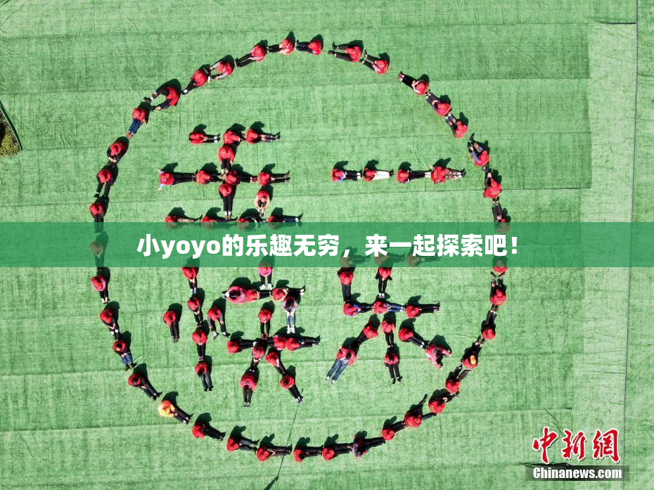 小yoyo的乐趣无穷，来一起探索吧！