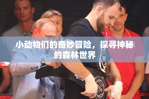 小动物们的奇妙冒险，探寻神秘的森林世界