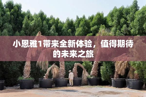 小恩雅1带来全新体验，值得期待的未来之旅