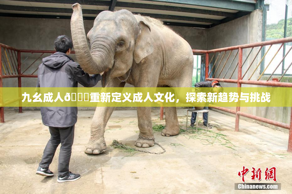 九幺成人🔞重新定义成人文化，探索新趋势与挑战