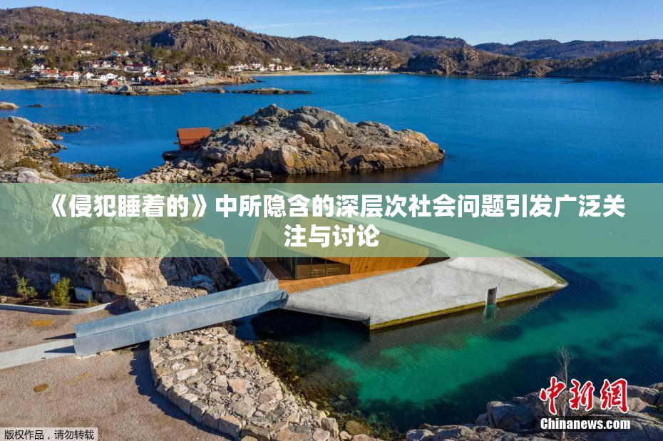《侵犯睡着的》中所隐含的深层次社会问题引发广泛关注与讨论