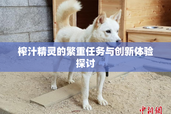 榨汁精灵的繁重任务与创新体验探讨