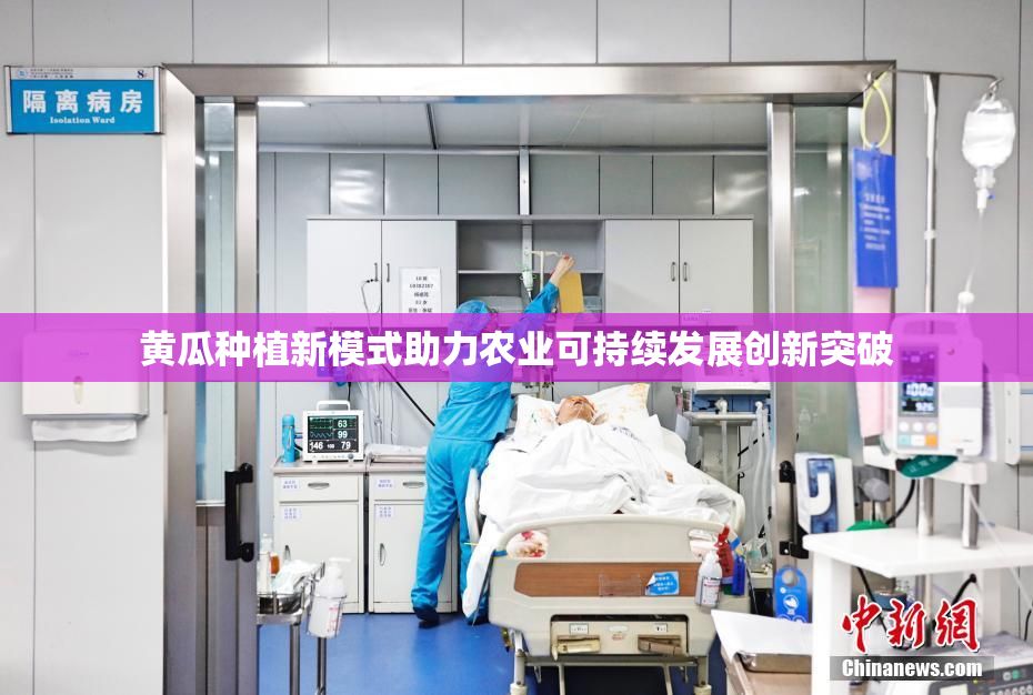 黄瓜种植新模式助力农业可持续发展创新突破