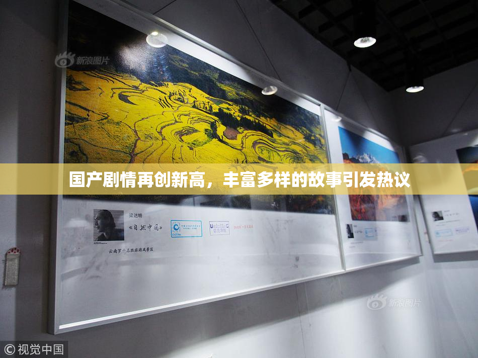 国产剧情再创新高，丰富多样的故事引发热议