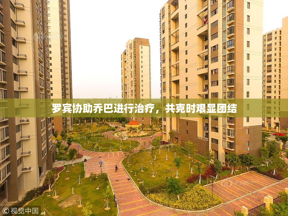 罗宾协助乔巴进行治疗，共克时艰显团结