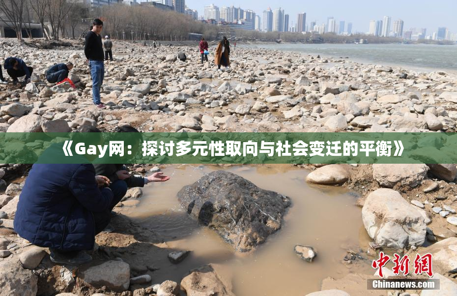 《Gay网：探讨多元性取向与社会变迁的平衡》