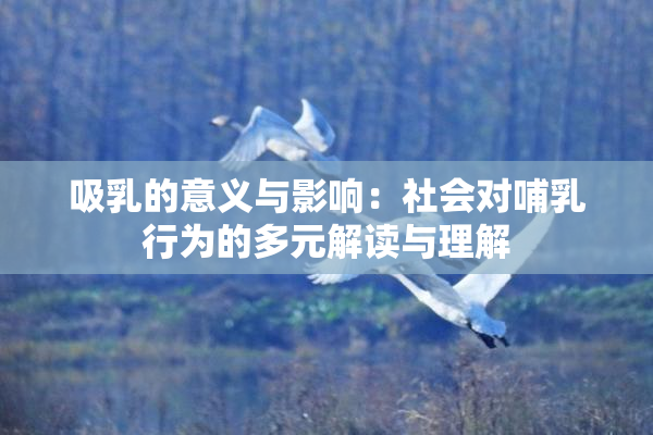 吸乳的意义与影响：社会对哺乳行为的多元解读与理解