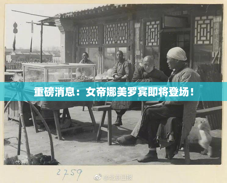 重磅消息：女帝娜美罗宾即将登场！