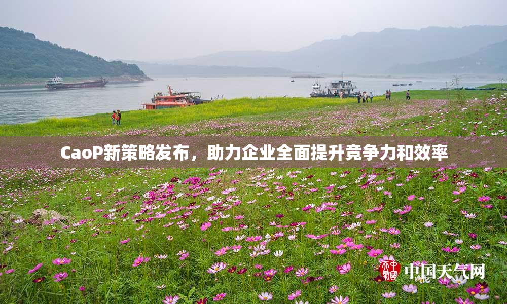 CaoP新策略发布，助力企业全面提升竞争力和效率