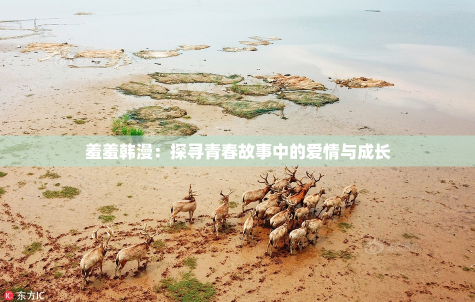 羞羞韩漫：探寻青春故事中的爱情与成长