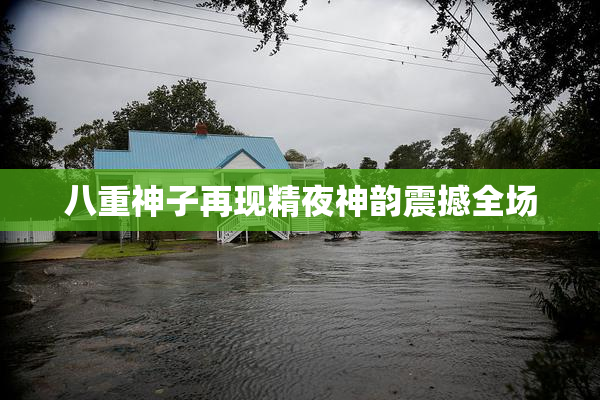 八重神子再现精夜神韵震撼全场