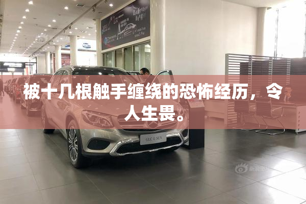 被十几根触手缠绕的恐怖经历，令人生畏。