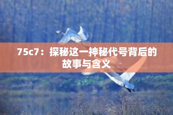 75c7：探秘这一神秘代号背后的故事与含义