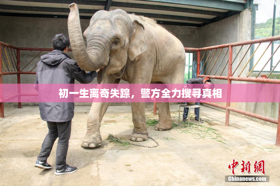 初一生离奇失踪，警方全力搜寻真相