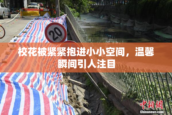 校花被紧紧抱进小小空间，温馨瞬间引人注目